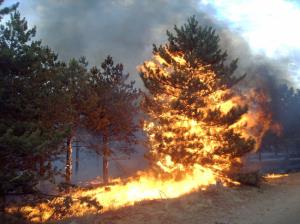 Razglas velike požarne ogroženosti naravnega okolja z 20. julijem 2022
